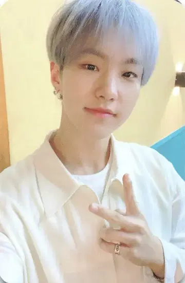 세븐틴 행:가래 호시 트레이딩 카드 NET Ver