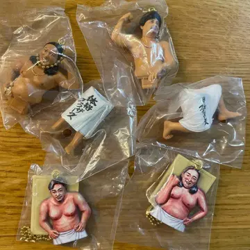 체격 브라더스 빅 바디 컬렉션 전 4종 컴플리트