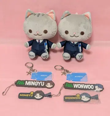 SEVENTEEN 고양이 봉제 인형 원우 민규 세트