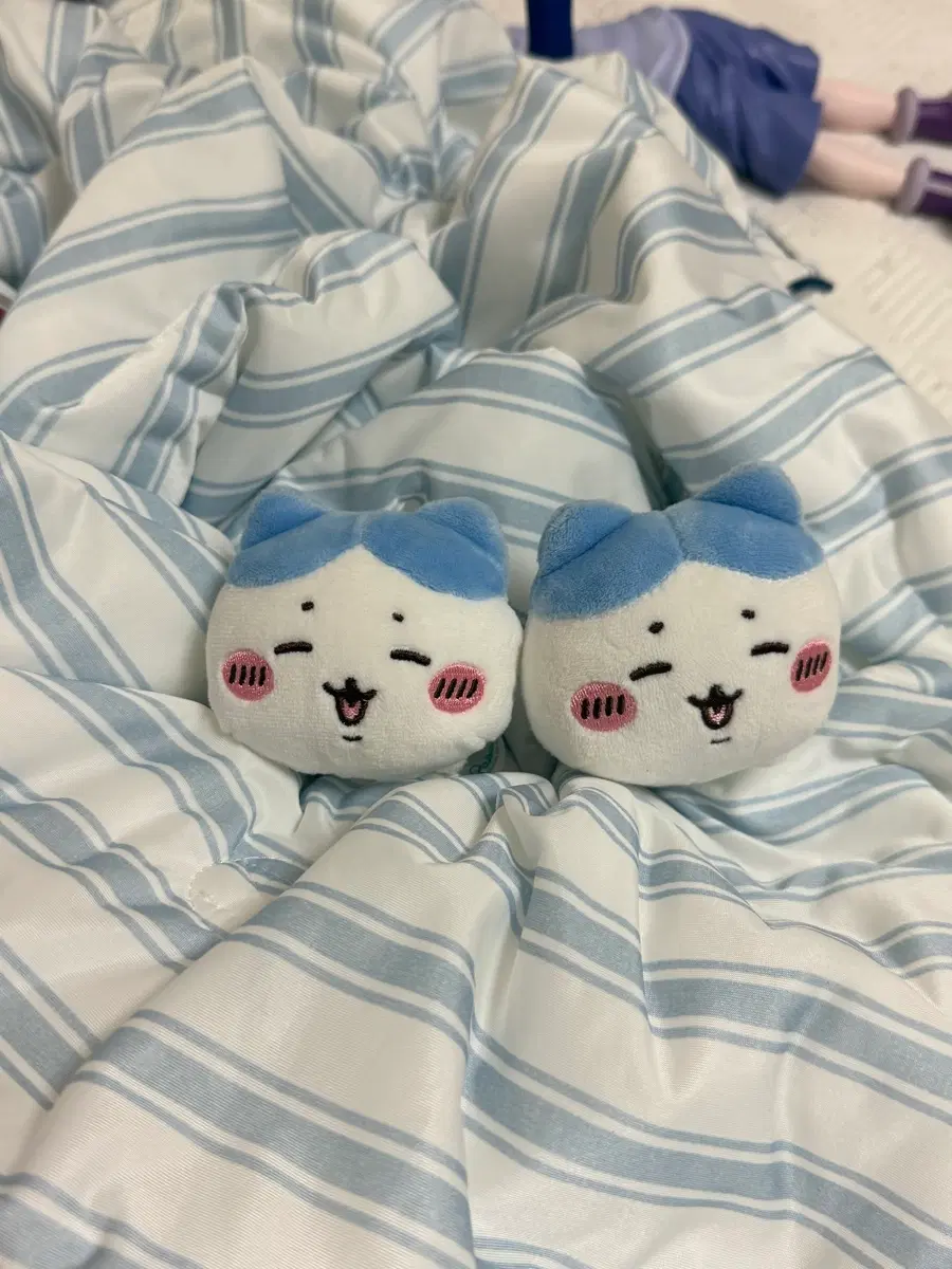 하치와레 가챠 인형 키링 일괄