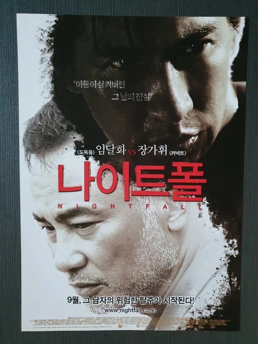 나이트폴 영화 전단지 팜플렛 A4 임달화