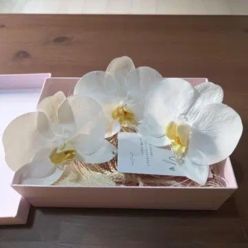 하나모모 팔레놉시스 머리 장식