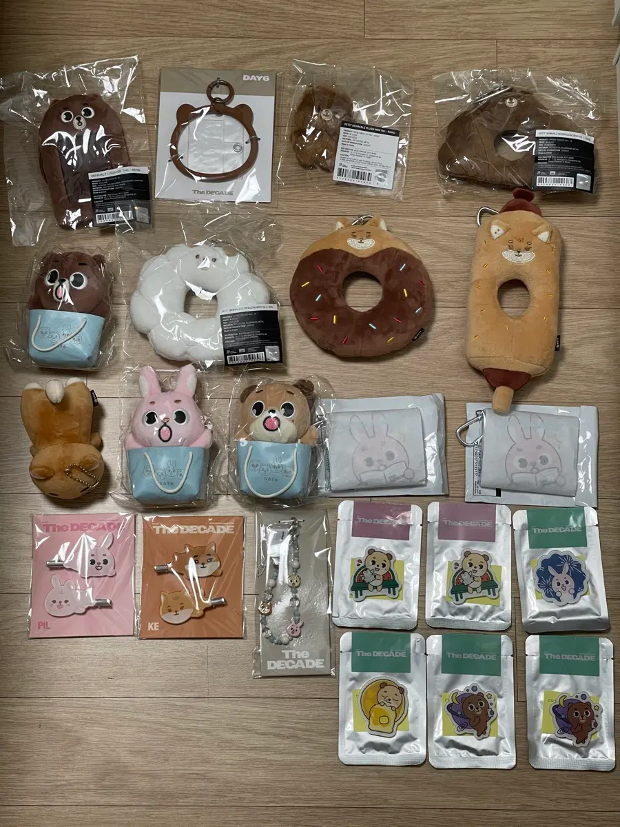 데이식스 굿즈