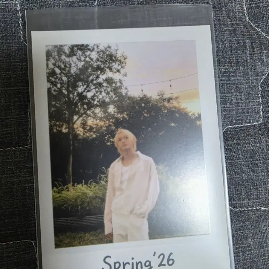 보넥도 성호 포카 양도