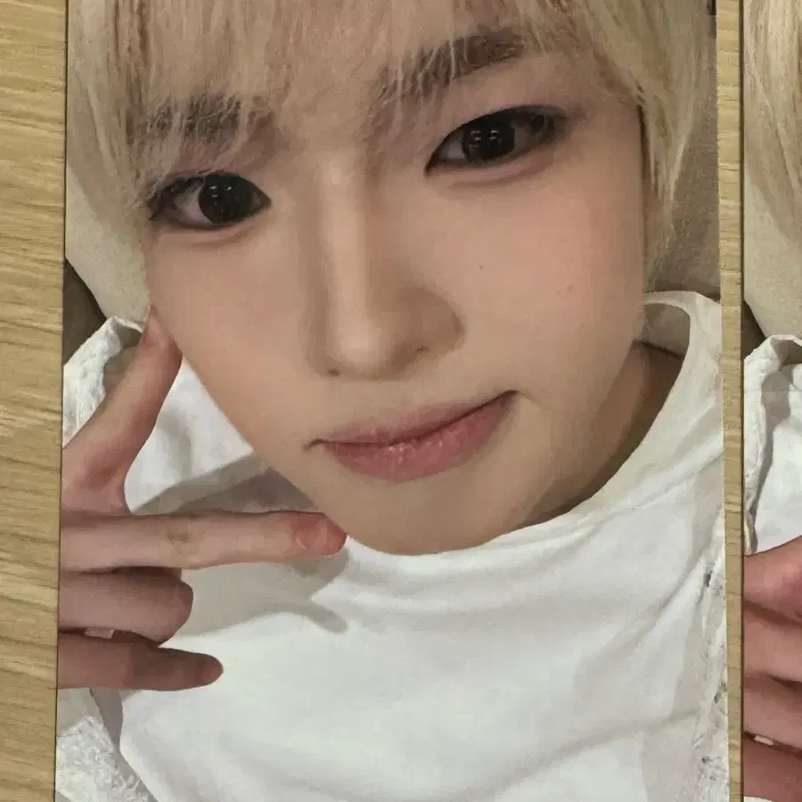 엔시티 위시 사쿠야 대만 타이페이 케이몬스타 당첨자 포카