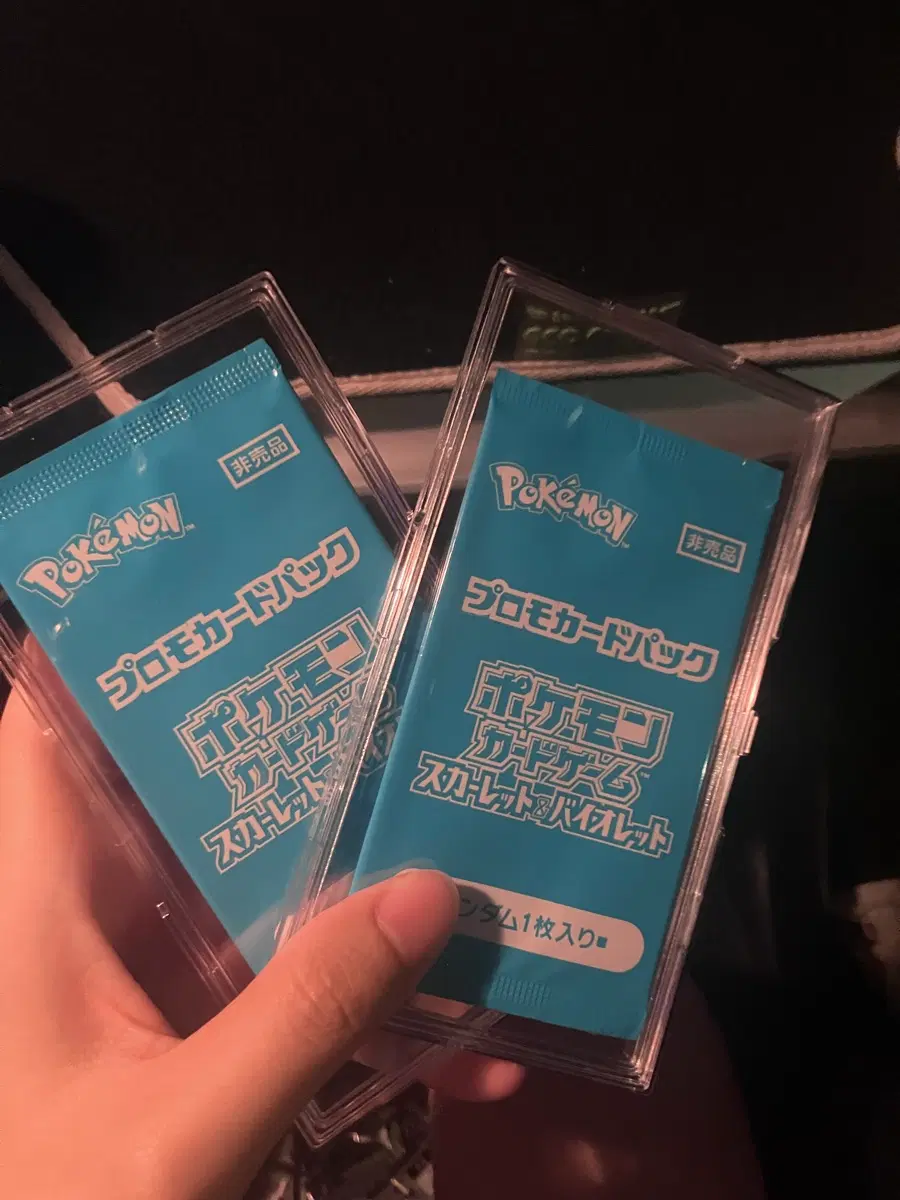 포켓몬 TCG 여름이 왔다! 프로모 카드 팩 2024 팩 (1장/일어판)