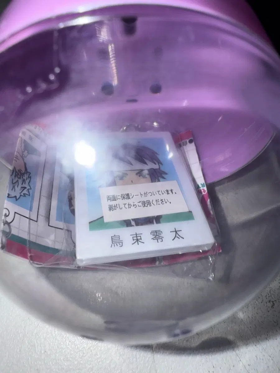 사이키 쿠스오 토리츠카 증명사진 가챠