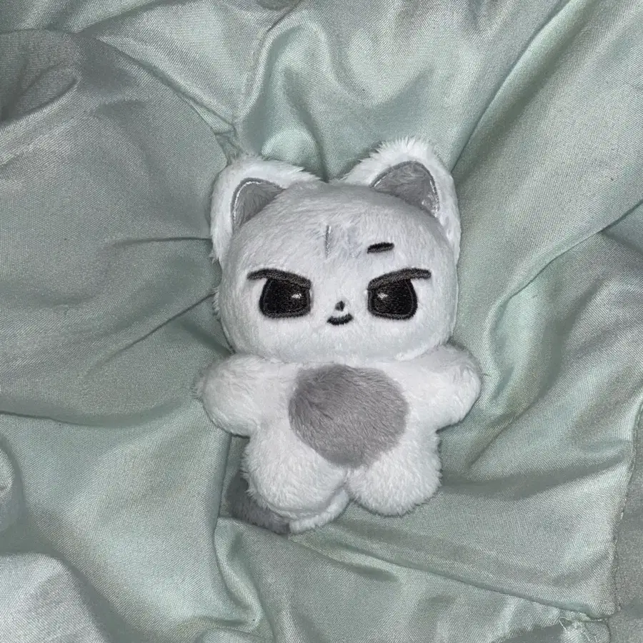 (완료)킥플립 계훈 곈냥이 인형 양도 10cm