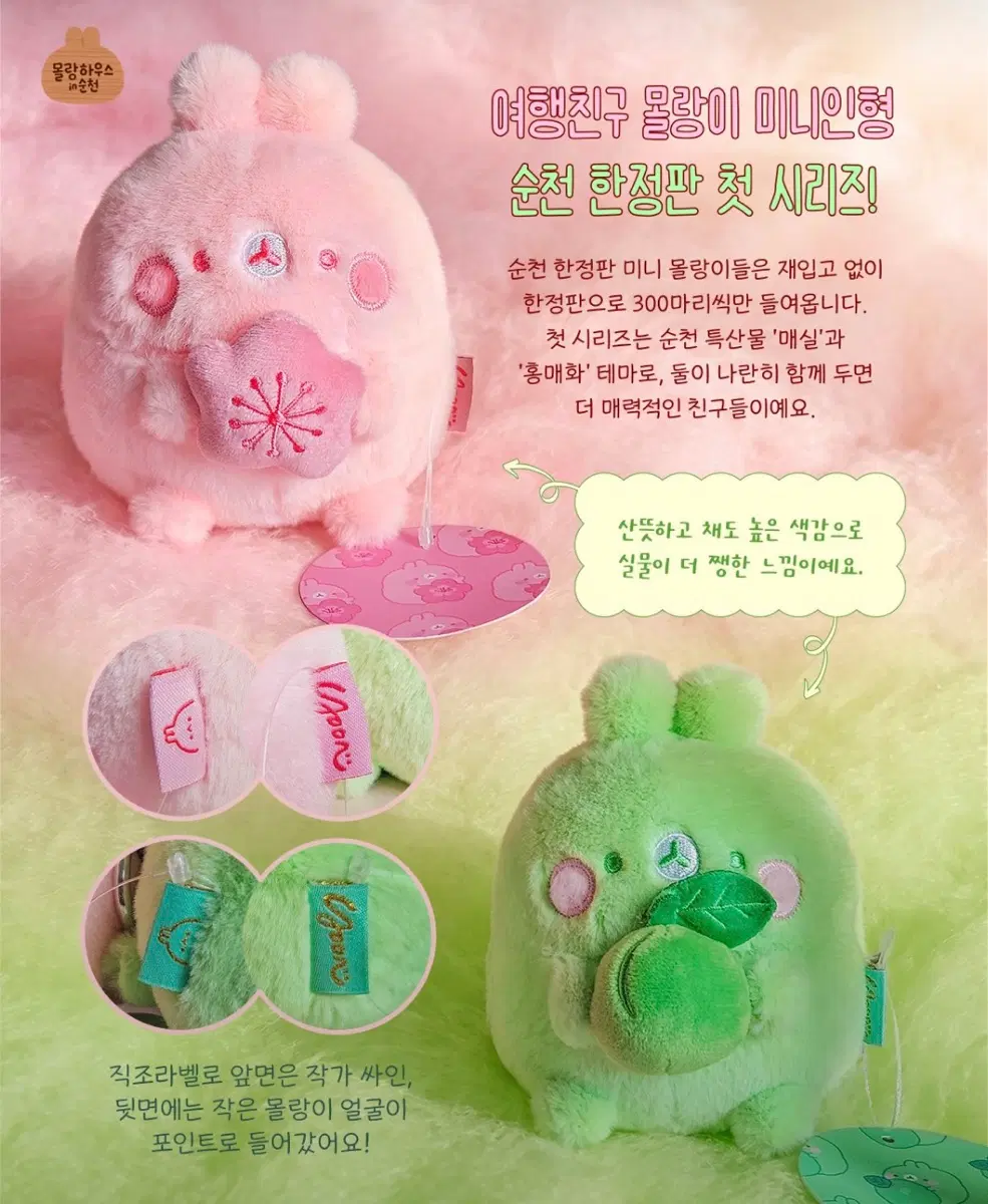 몰랑이 구합니다.
