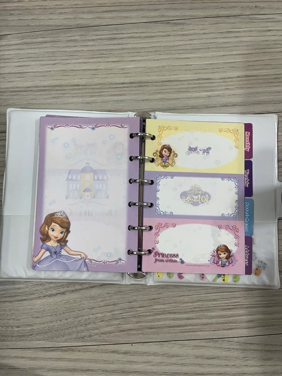 고전 빈티지 소피아 다이어리
