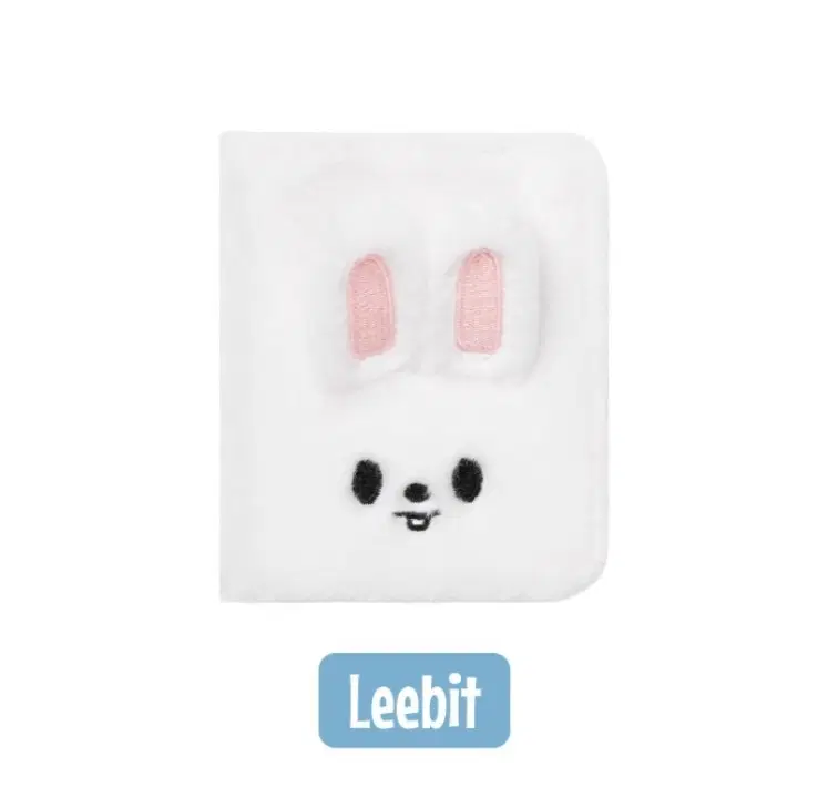 스트레이키즈 리노 리빗 콜렉트북
