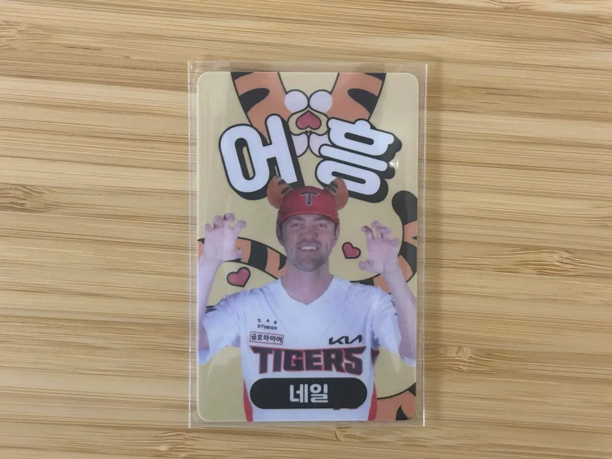 기아 네일 어흥 포카