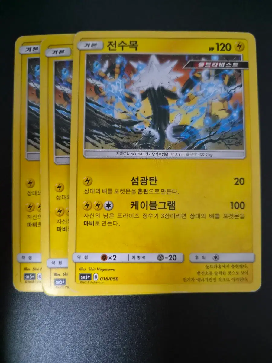 포켓몬 카드 전수목