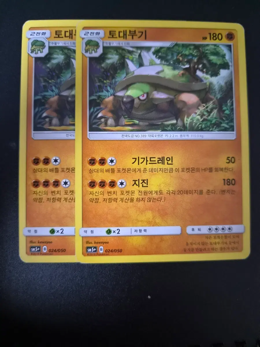 포켓몬 카드 토대부기