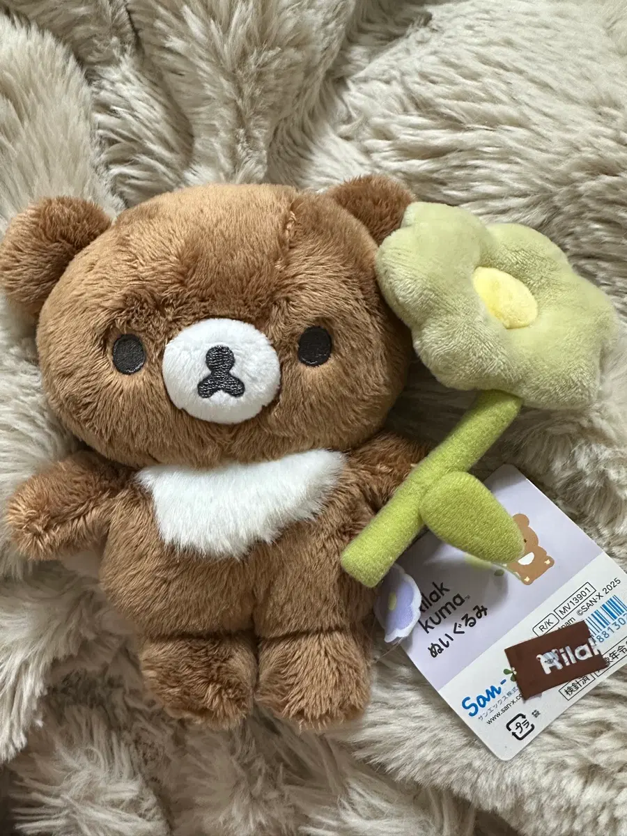 산엑스 차이로이코구마 꽃 인형