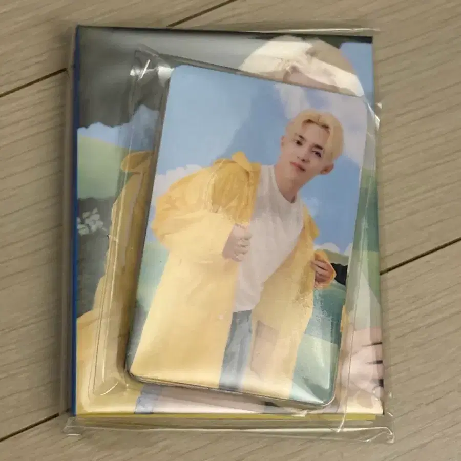 세븐틴스 헤븐 캐럿반 에스쿱스