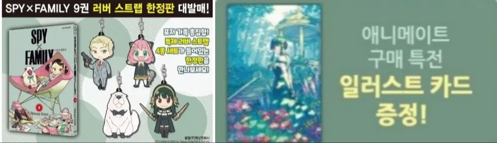 스파이패밀리 9 한정판 +애니메이트 특전