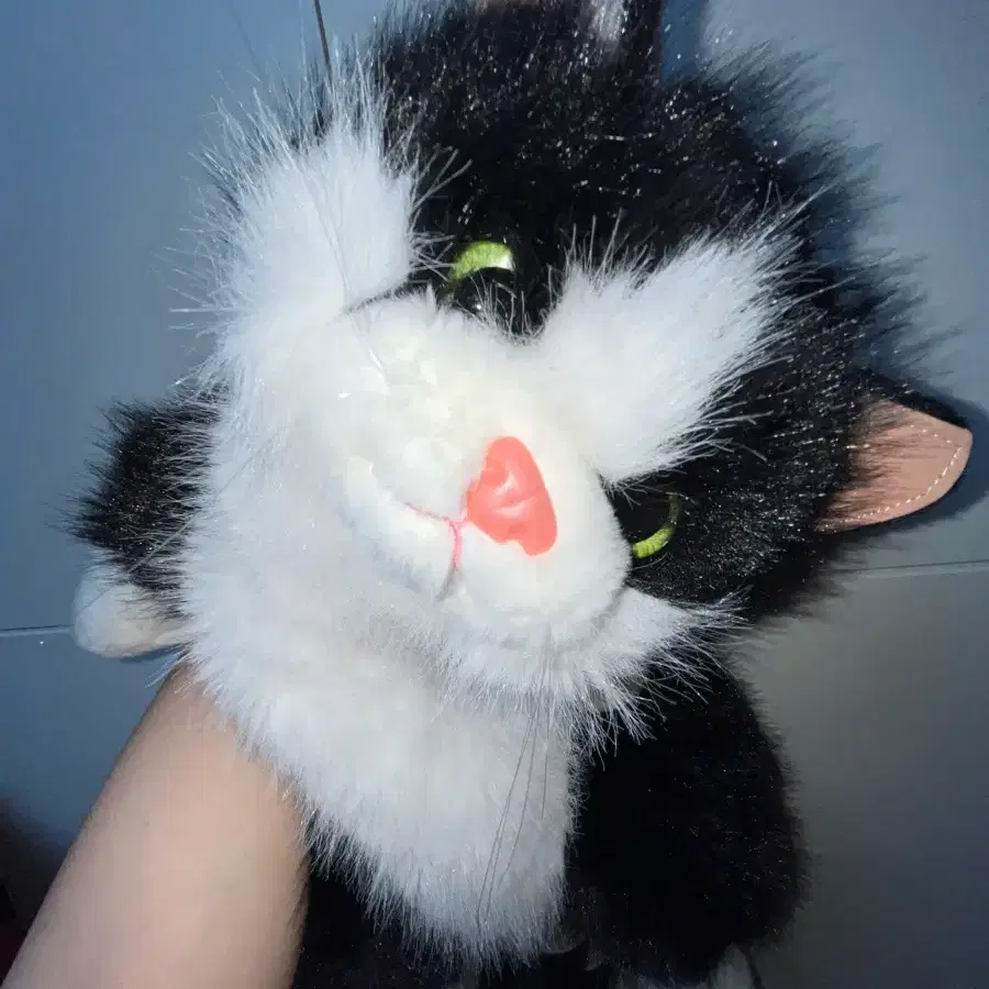 턱시도 고양이 인형 가방!