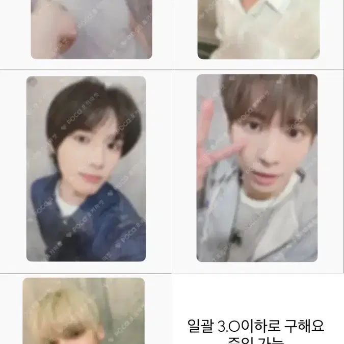 투바투 가시덤불 비트로드 2차 구해요