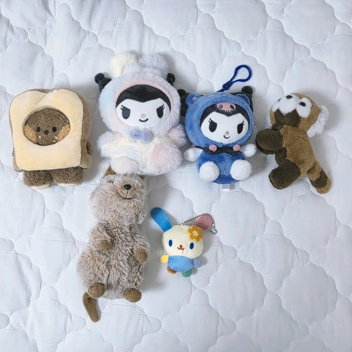 쿠로미 곰 래서판다 쿼카 인형