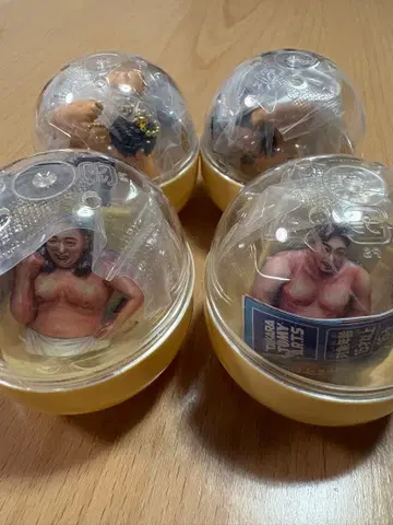 4종 풀컴프 체격 브라더스 빅 바디 컬렉션 가챠