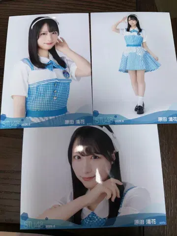 STU48 하라다 세이카 브로마이드 3장 세트