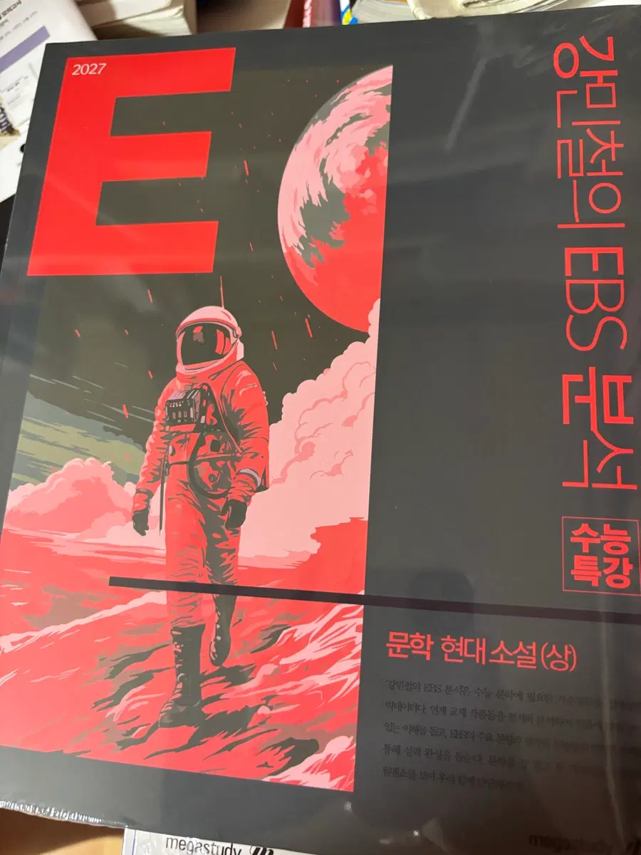 강e분 문학 현대소설