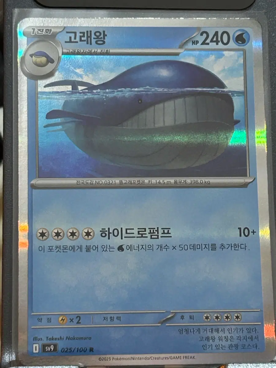 고래왕 R  포켓몬카드 미러 홀로그램