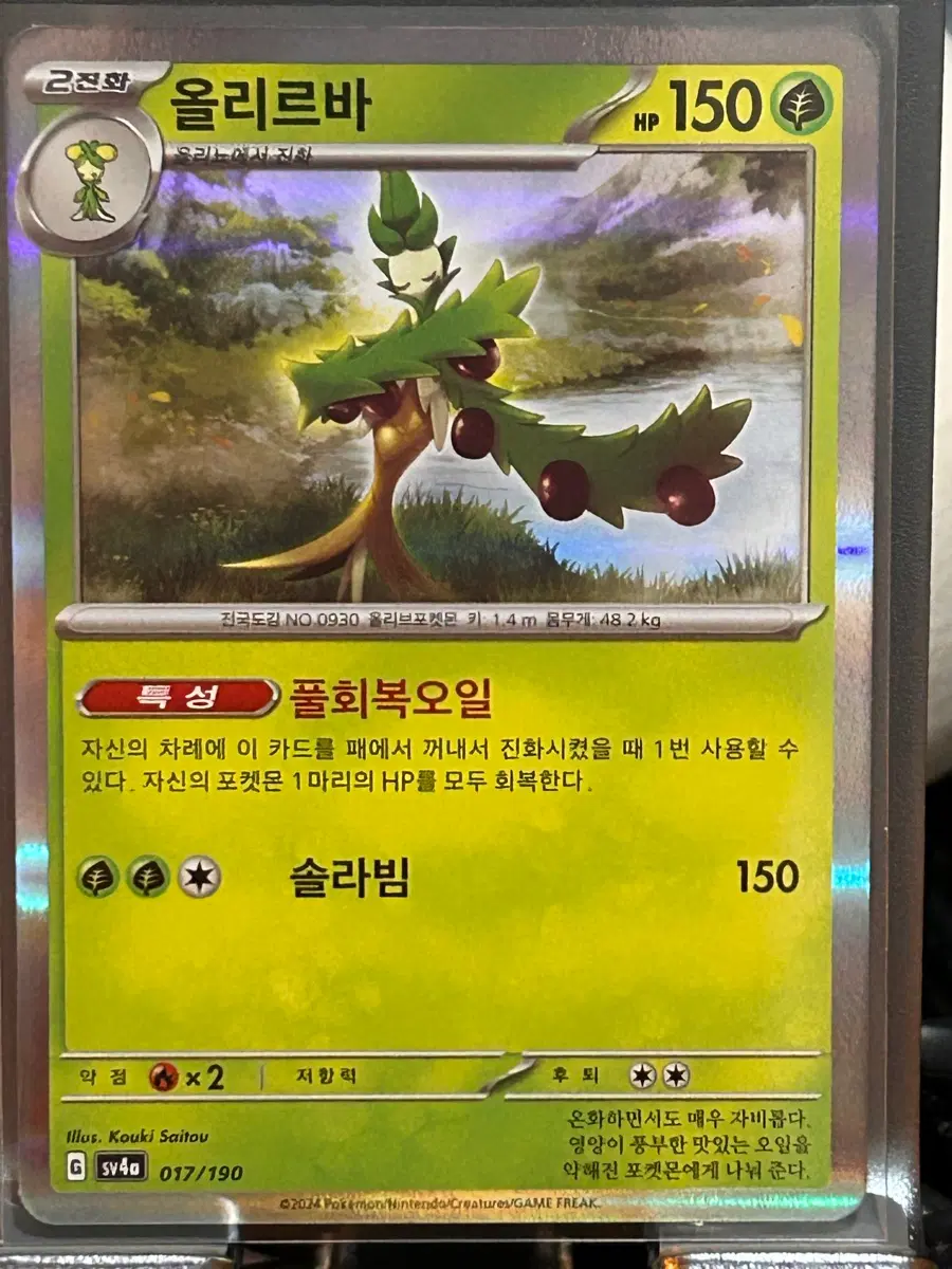 포켓몬 카드 올리르바 미러 홀로그램