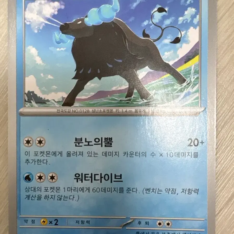 포켓몬 카드