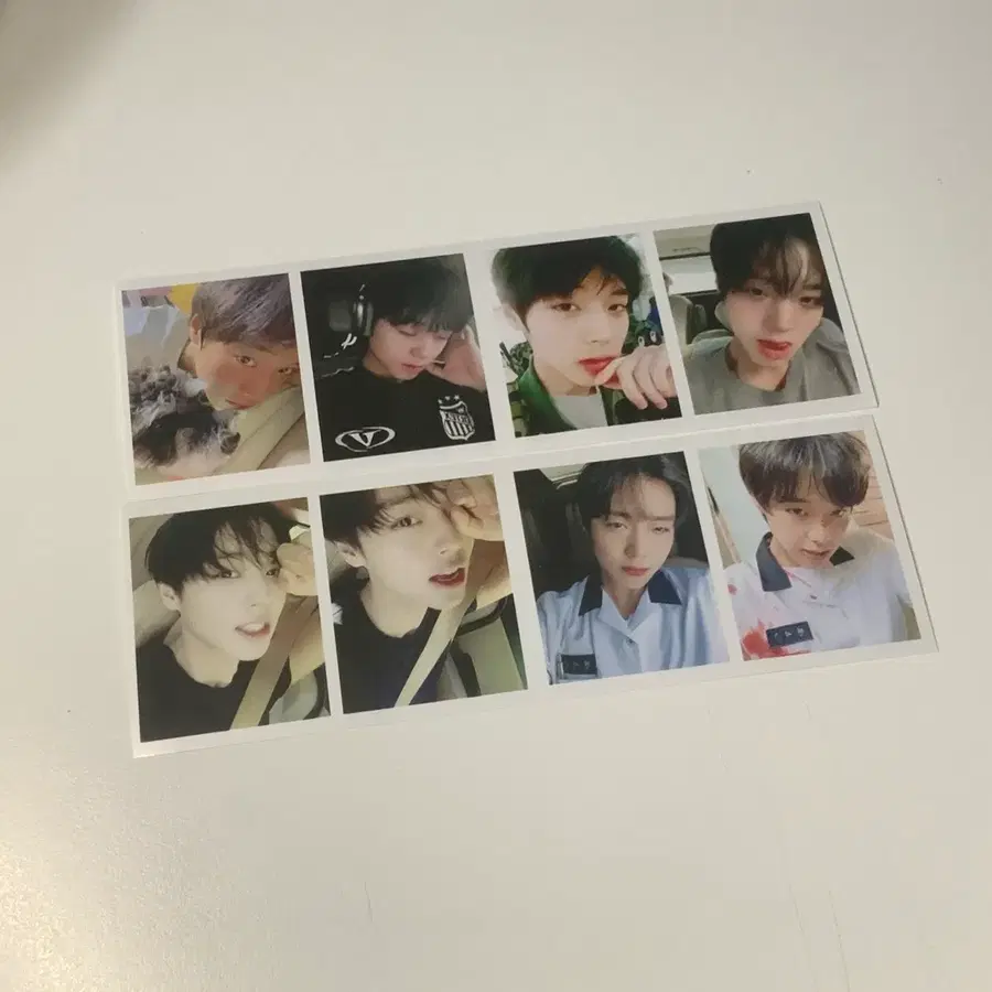 박지훈 증사 일괄