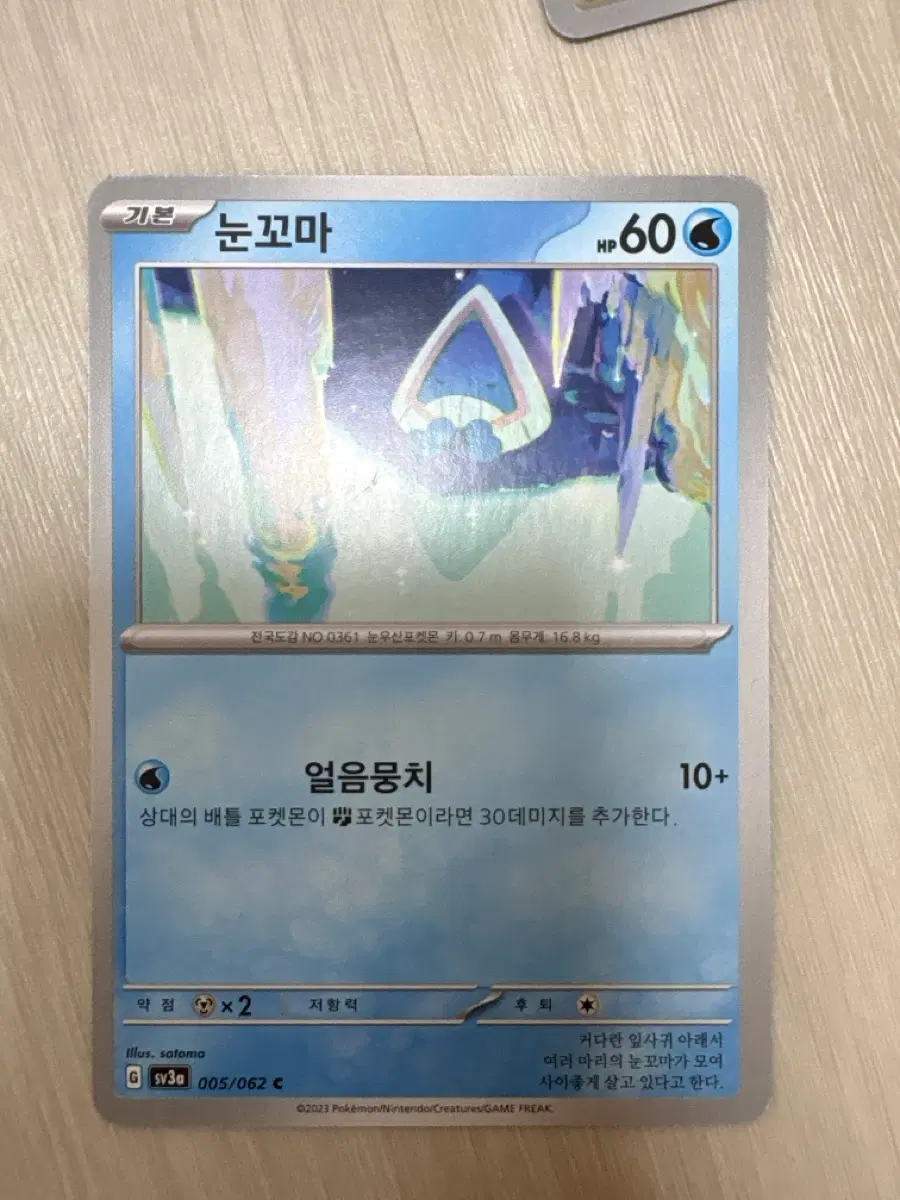 포켓몬 카드