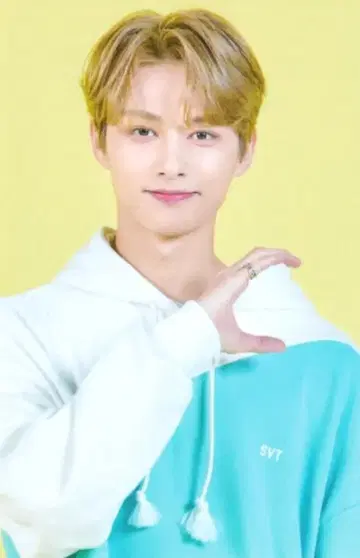 SEVENTEEN 2020 4TH FAN MEETING CARAT LAND 준 트레이딩 카드 0017