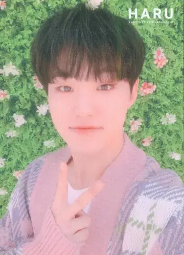 SEVENTEEN 2019 HARU HOSHI 트레이딩 카드 0039
