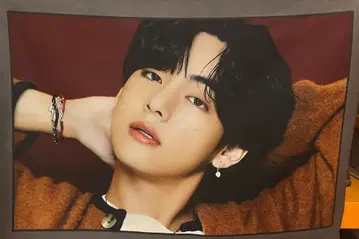 BTS BE V 패브릭 포스터