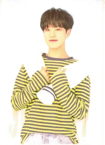SEVENTEEN 2019 JAPAN FANMEETING HANA HOSHI 클리어 포스터