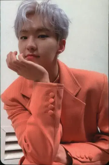 SEVENTEEN 떨어지는 꽃잎 HOSHI 트레이딩 카드