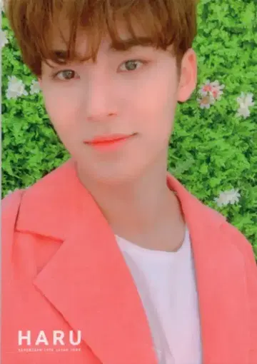SEVENTEEN 2019 HARU MINGYU 트레이딩 카드 0043