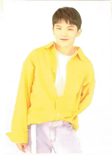 SEVENTEEN 2019JAPAN FANMEETING HANA WOOZI 클리어 포스터