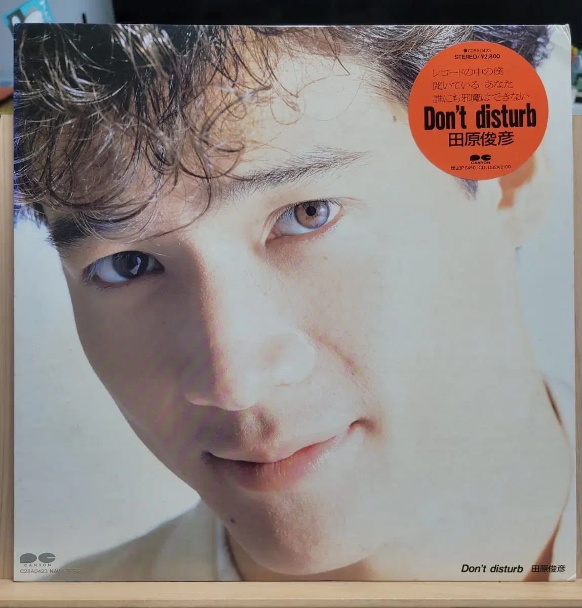 타하라 토시히코 Don't disturb 앨범 LP