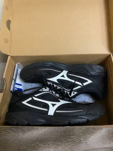 MIZUNO 맥시마이저24 27cm