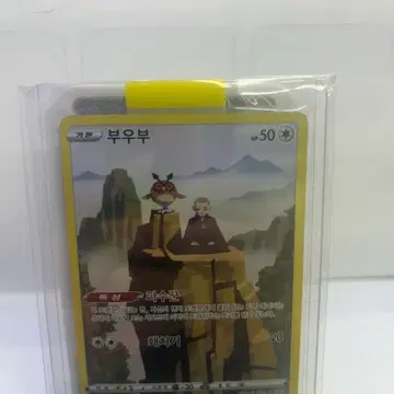 포켓몬 카드 부우부 chr