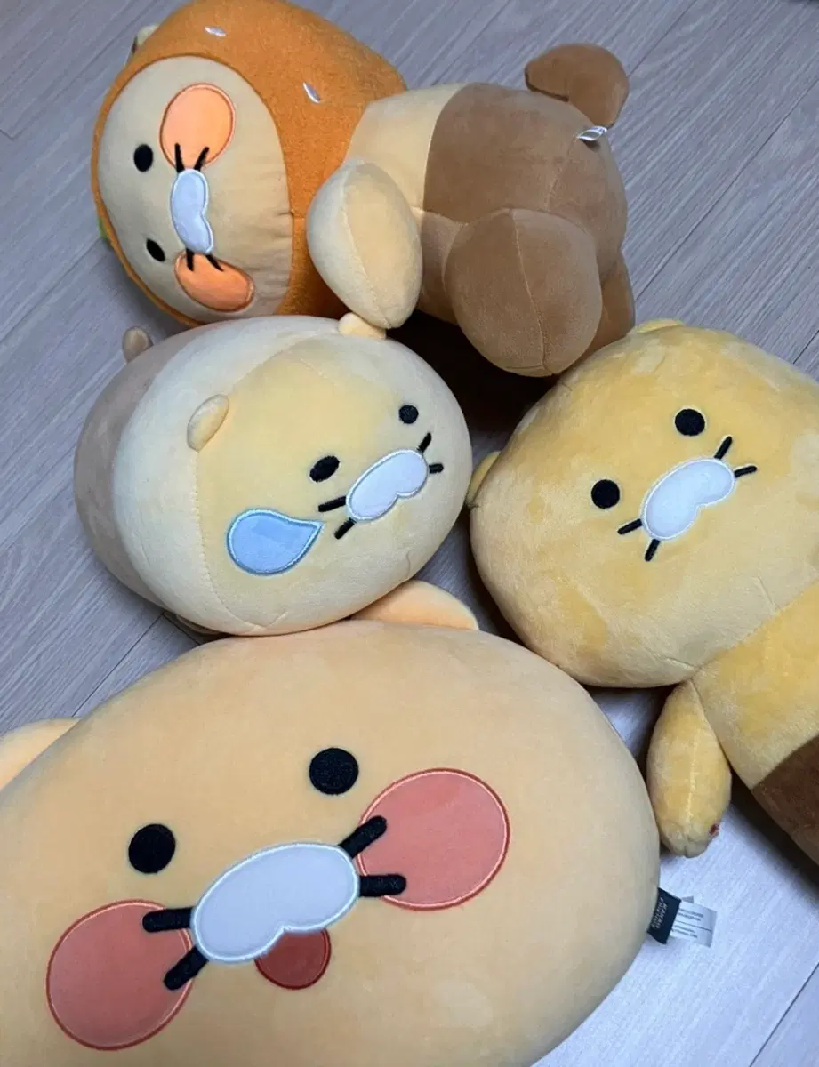 카카오프렌즈 춘식이 프로도 죠르디 일괄