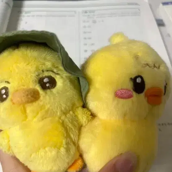 세븐틴 승관 인형 승꽥이 뿌덕이
