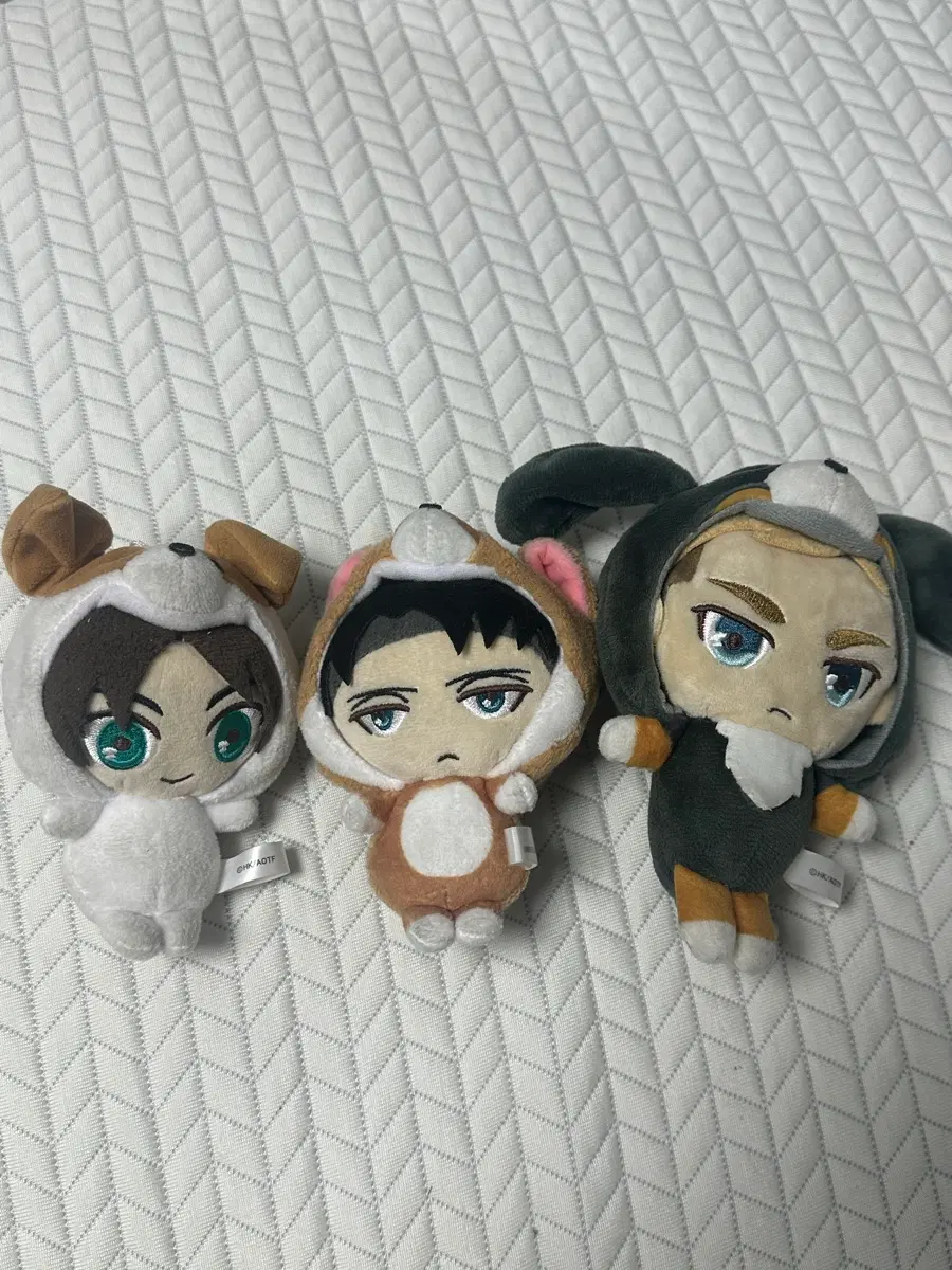 엘뭉이 립뭉이 엛뭉이