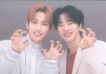 SEVENTEEN 2021 HARE HOSHI/DK 트레이딩 카드 0071