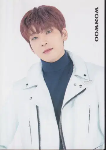 SEVENTEEN 2021 HARE WONWOO 트레이딩 카드 0110