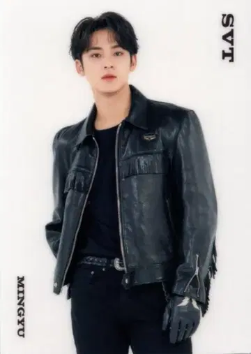 SEVENTEEN 2021 HARE MINGYU 트레이딩 카드 0100