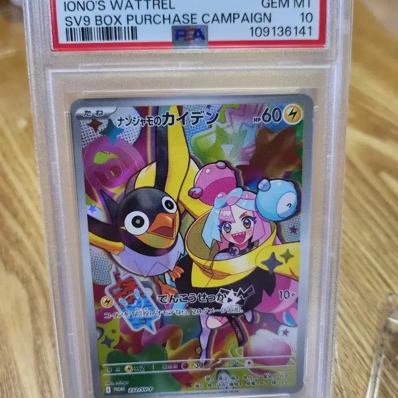 포켓몬카드 일판 모야모의 찌리비 psa10