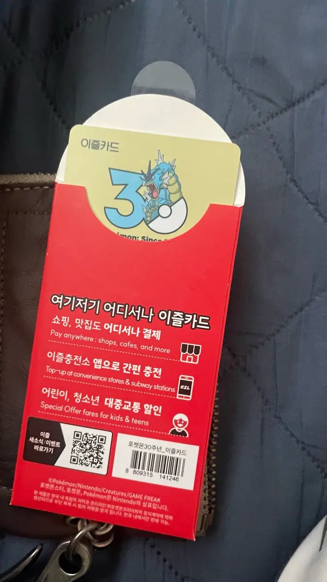 포켓몬 이즐 교통카드